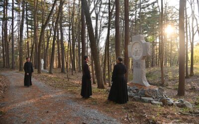 Stations of the Cross
